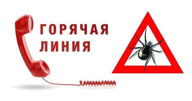 «Горячая линия» по вопросам профилактики клещевого энцефалита и других инфекций, передающихся клещами.